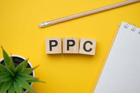 Pioneer Ecorp – Your Trusted PPC Growth Partner